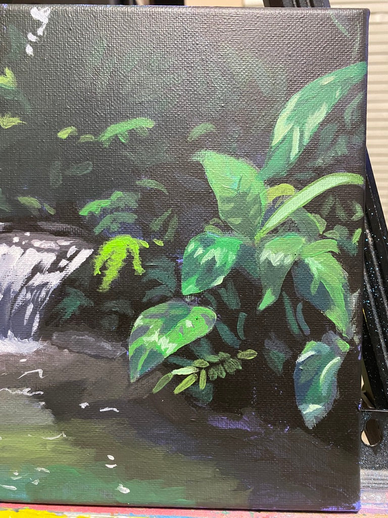 rainforest