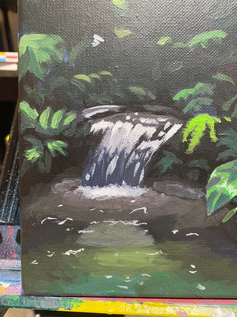 rainforest