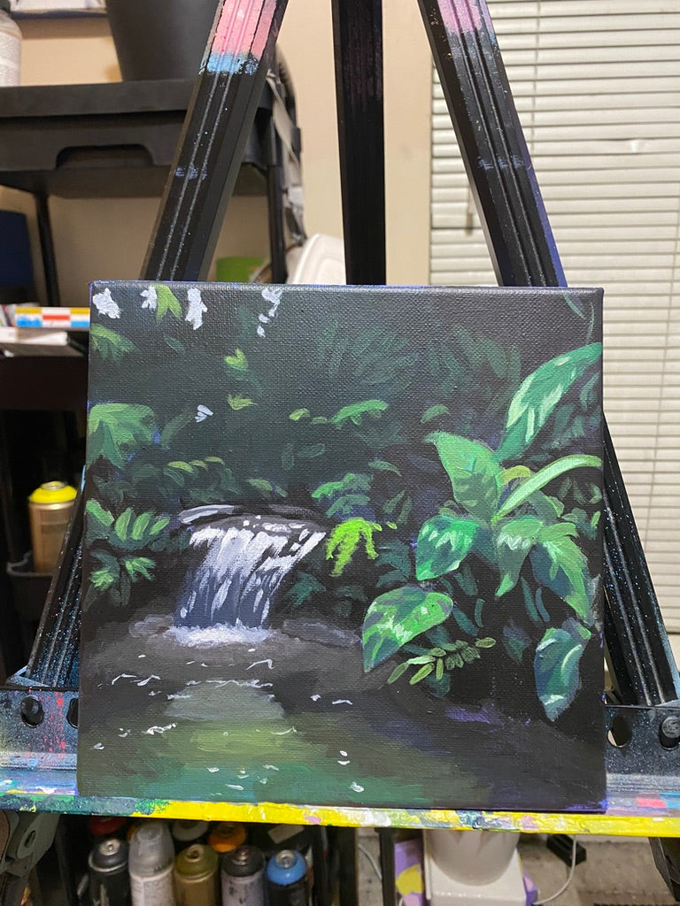 rainforest